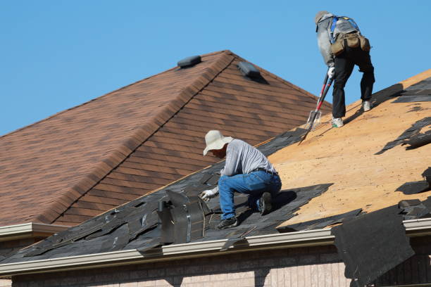 Best Roof Ventilation Installation  in Louisville, GA